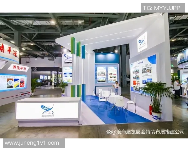 冰岛国足logo设计解析与背后文化象征的深度探讨