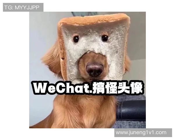 沙雕篮球明星头像的趣味创作与个性展示让你爱不释手的艺术风格解析
